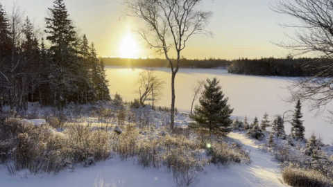 Landschaft Winter2 480X270